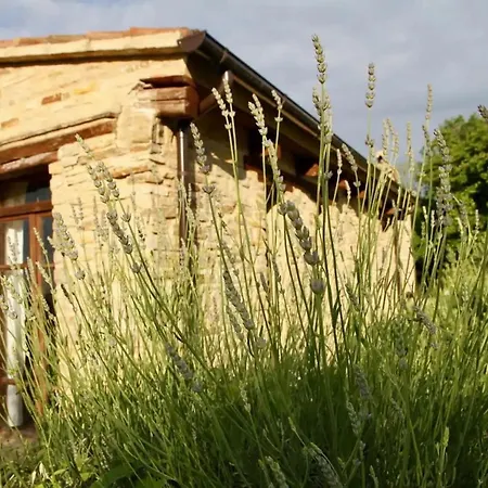 Casa San Leopardo *