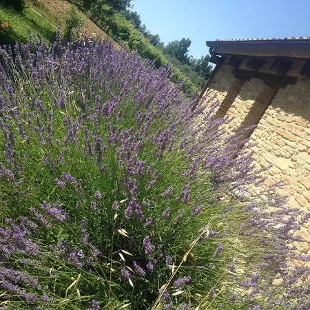 Casa San Leopardo
